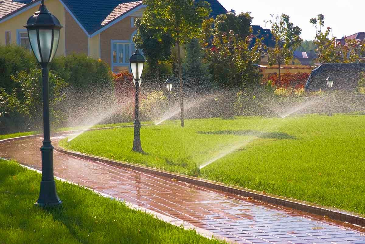 Irrigation System Installation in Saginaw