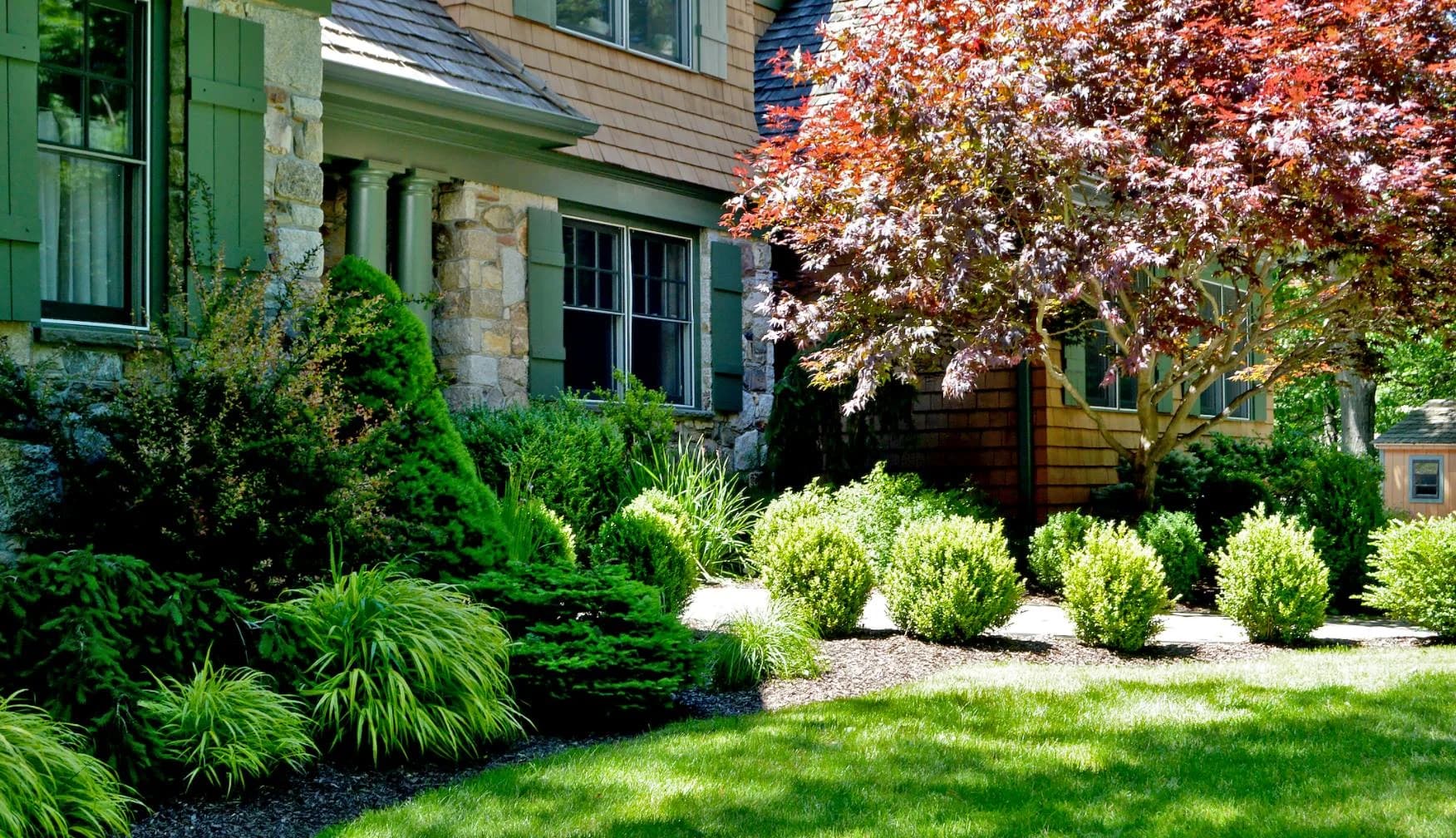Tree & Shrub Planting Services in Saginaw, TX