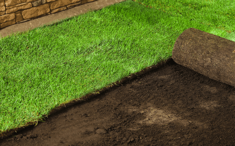 Sod Installation Services in Saginaw, TX