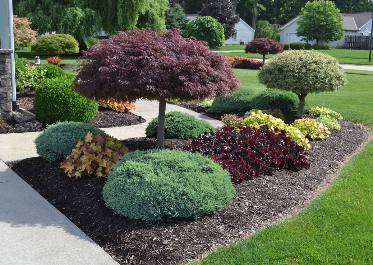 Landscape Design in Keller project 7