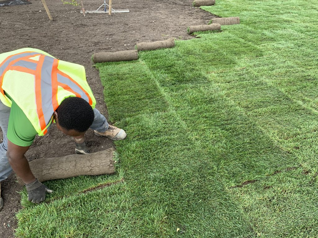 Sod Installation project 2