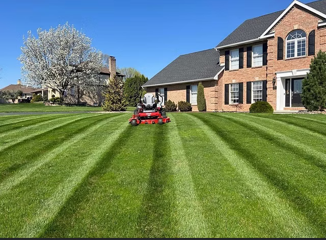 Lawn Mowing in Saginaw