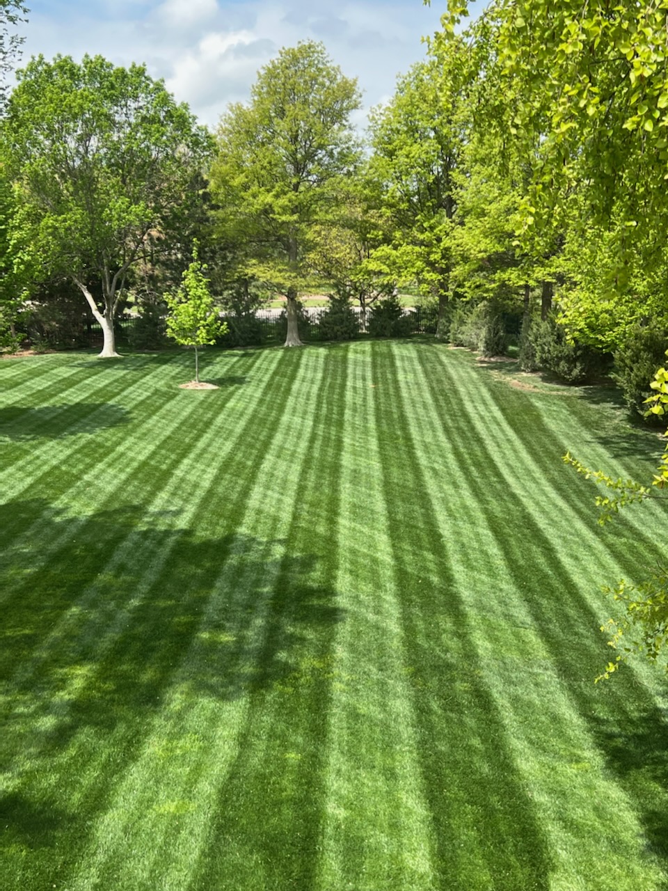 Lawn Mowing in Saginaw