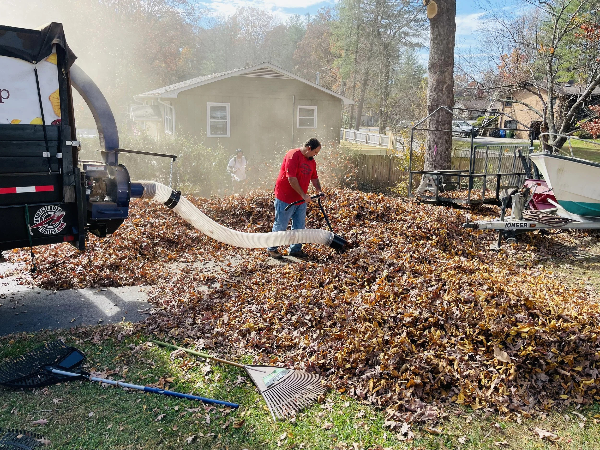 Leaf Removal in Saginaw