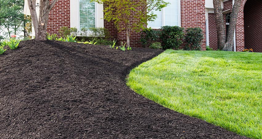 Mulching & Bed Care in Saginaw